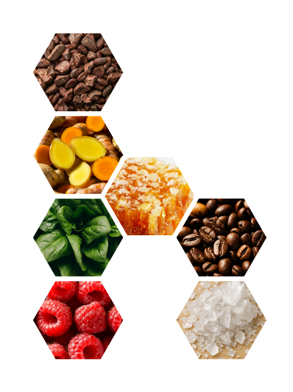 Ingredients Logo